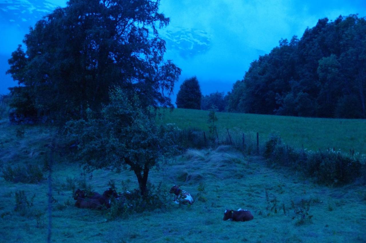 Orheimstunet - Gardsferie For Storfamilien Der Ogsa Hunden Er Velkommen Starheim المظهر الخارجي الصورة